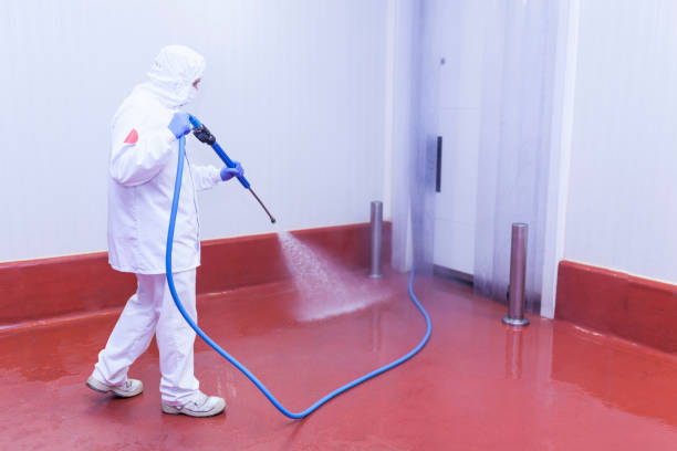 Best Solar Panel Cleaning  in Lanai City, HI
